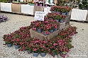 VBS_6686 - FLOREAL Ottobre 2022 - Tre giorni di fiori, piante e bellezza